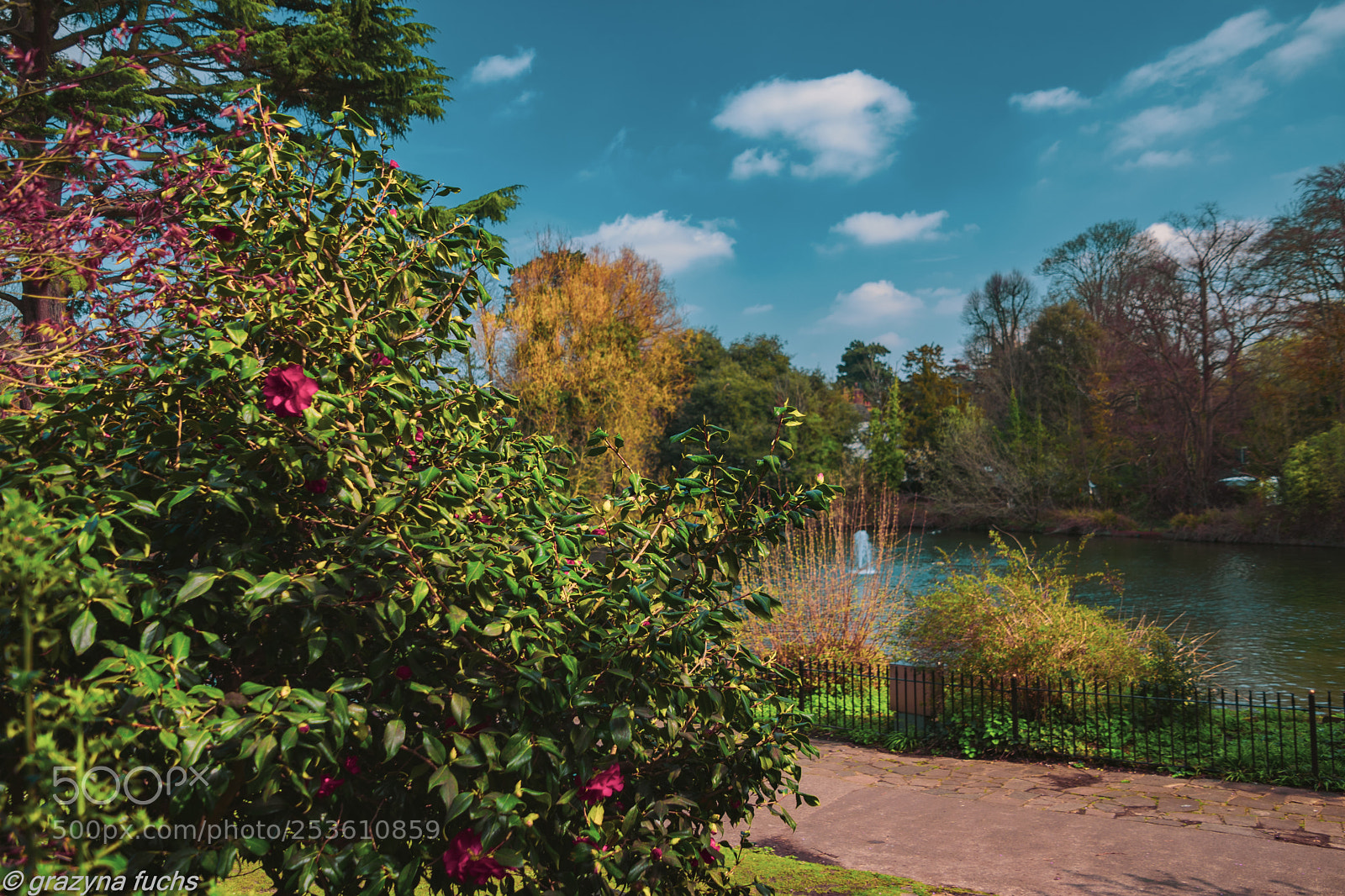 Nikon D3300 sample photo. A walk in the photography