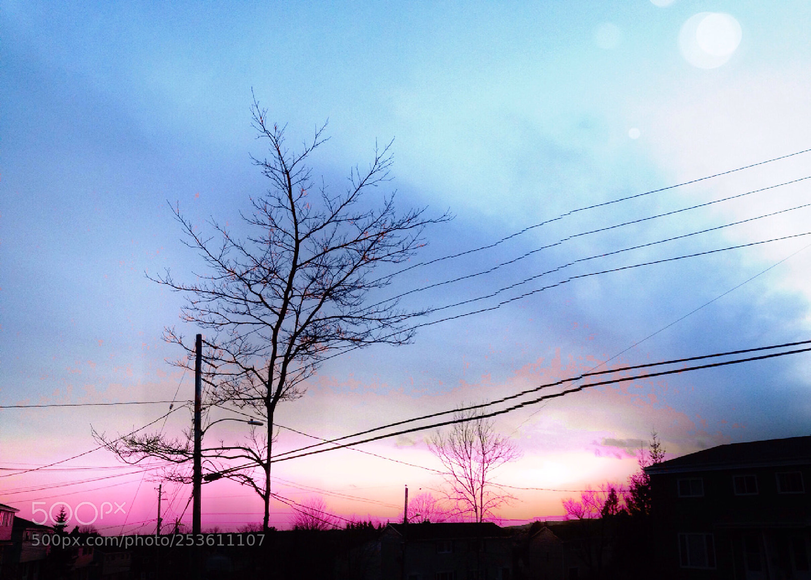Apple iPhone 5c sample photo. Untitled photography