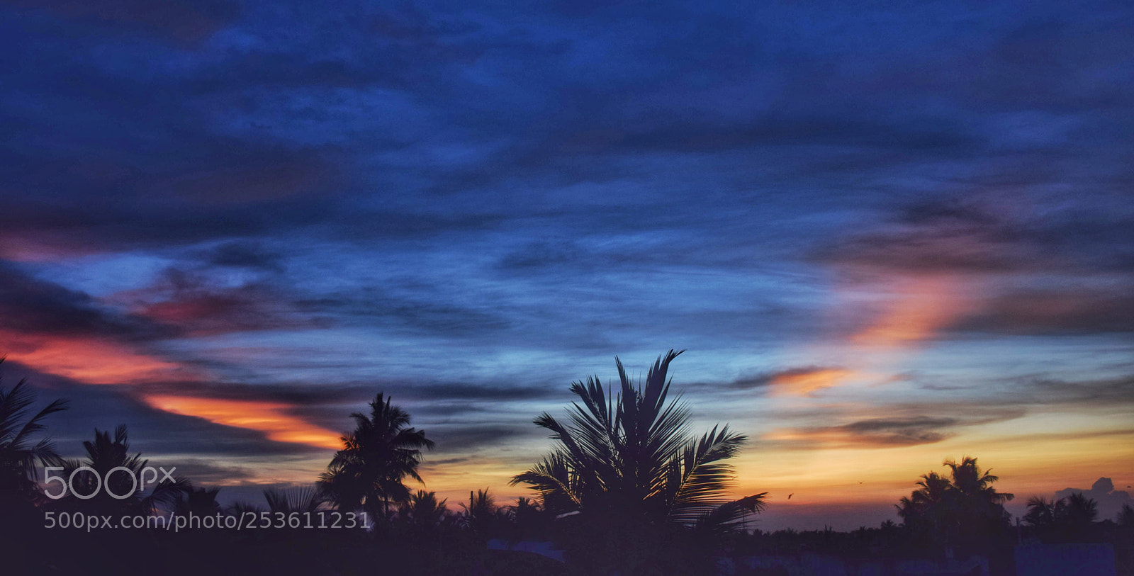 Nikon D3300 sample photo. Sundown photography