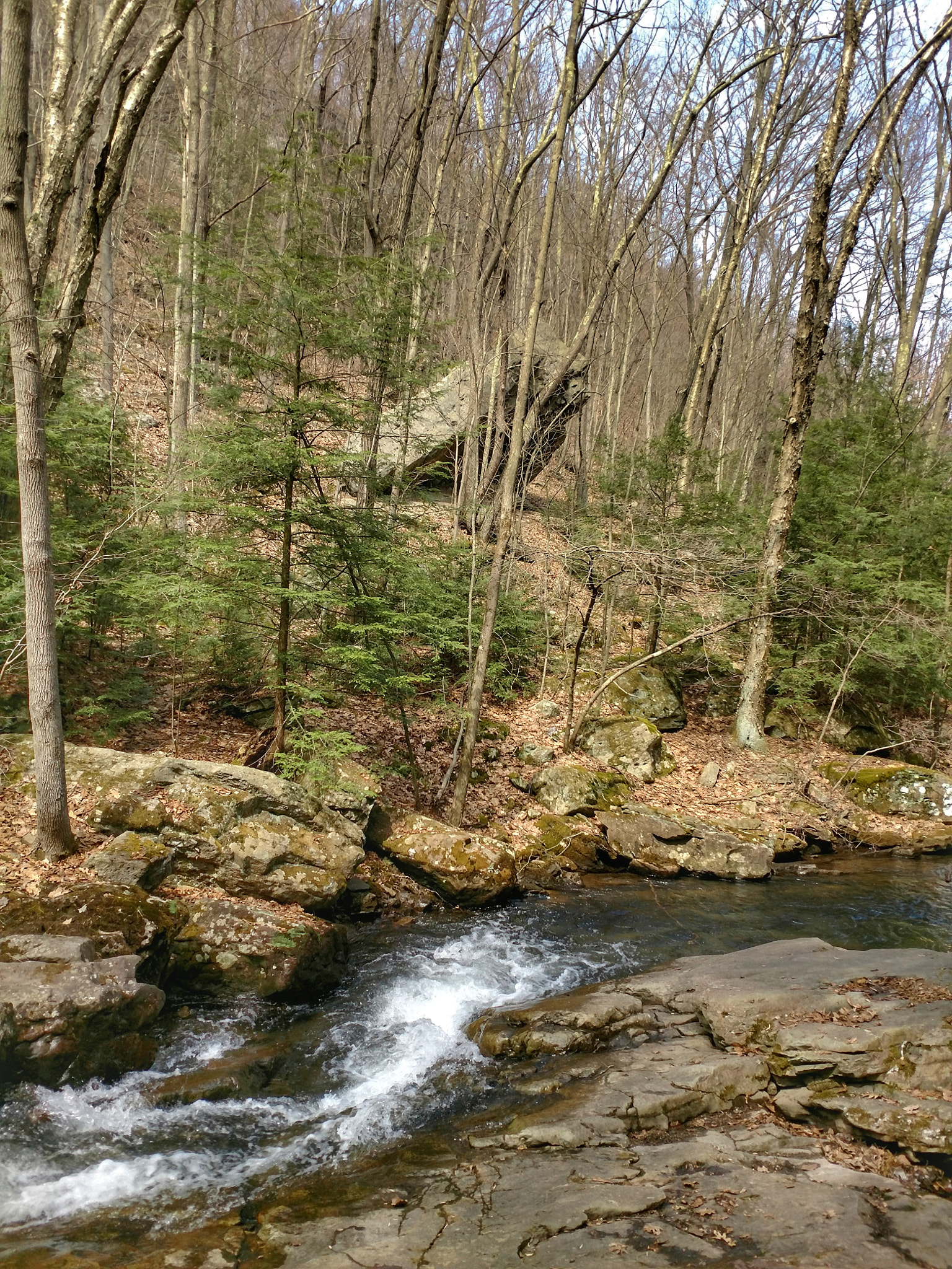 Motorola XT1650 sample photo. The tubbs nature area photography