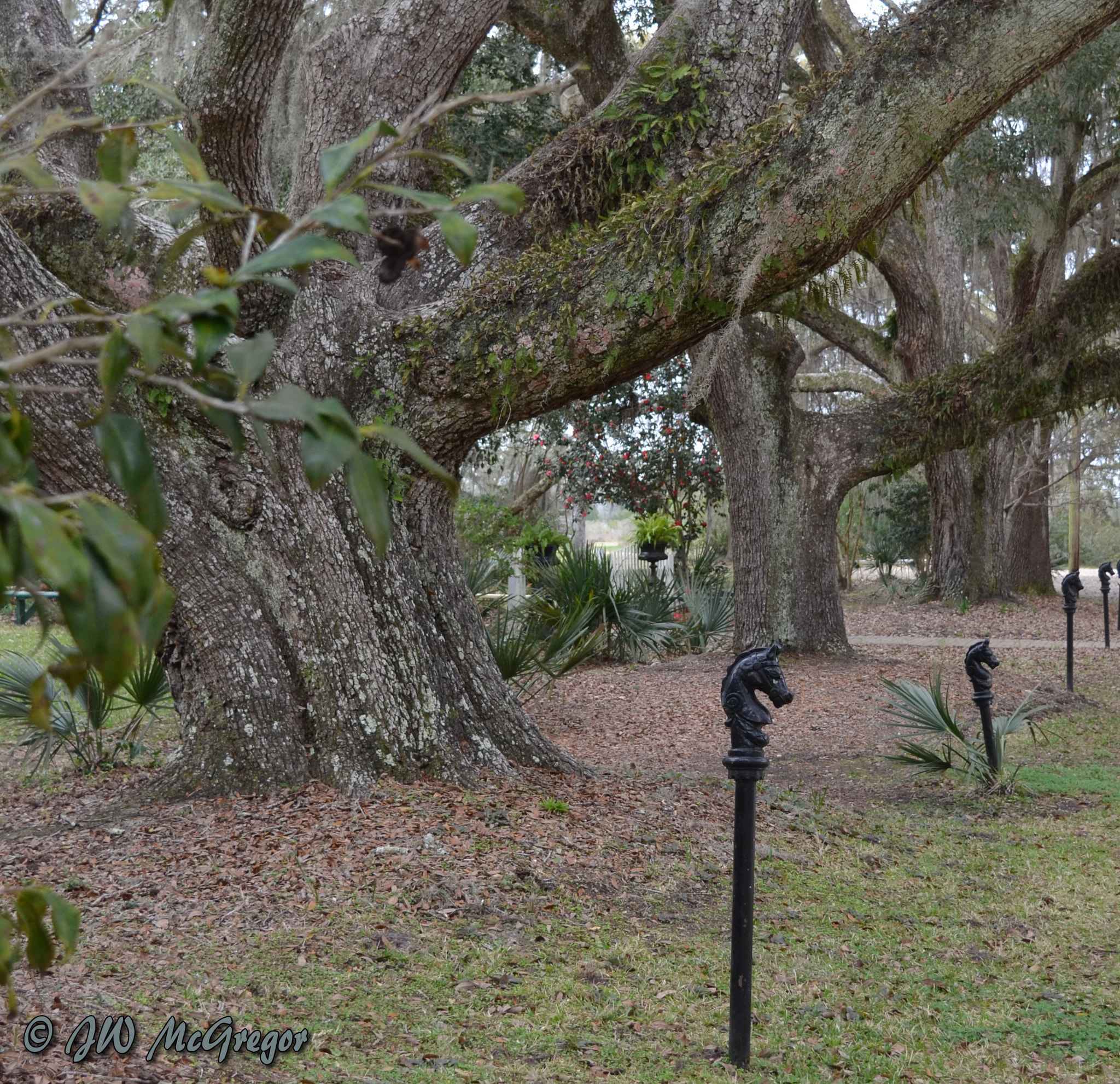 Nikon D5100 sample photo. Hitching post photography