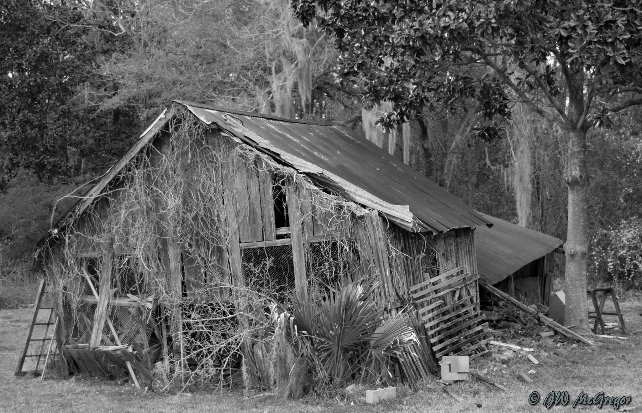 Nikon D5100 sample photo. Old shed photography