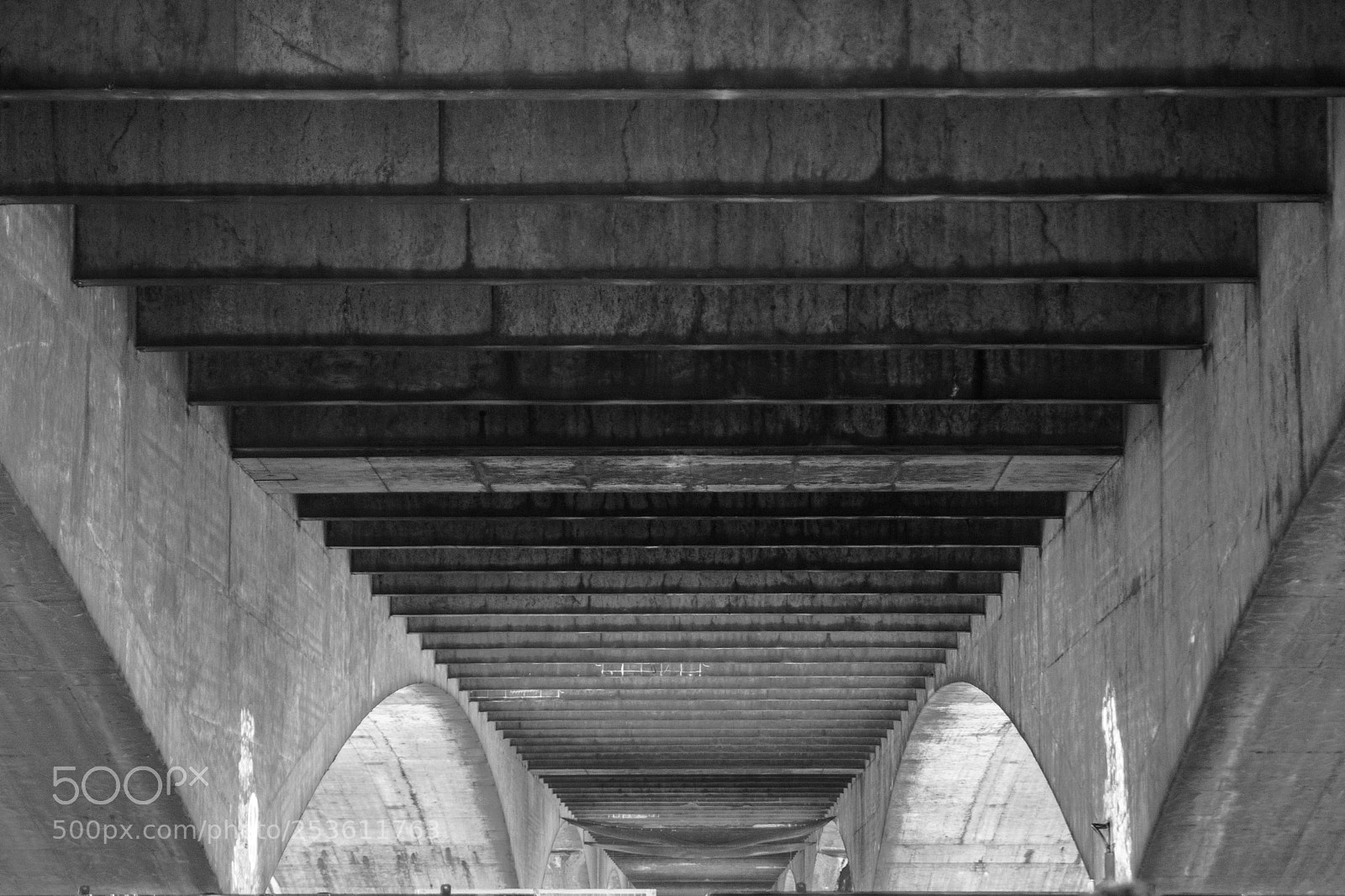 Nikon D5300 sample photo. Lines and curves photography