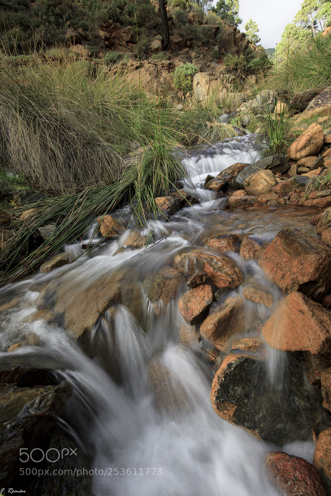 Canon EOS 5D Mark IV sample photo. Sierra de ronda photography