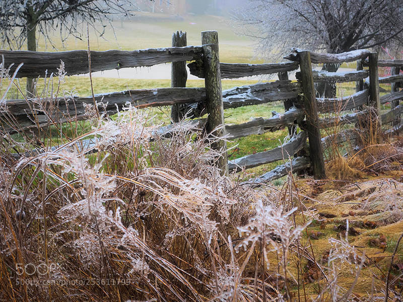 Olympus OM-D E-M1 sample photo. Spring ice storm photography