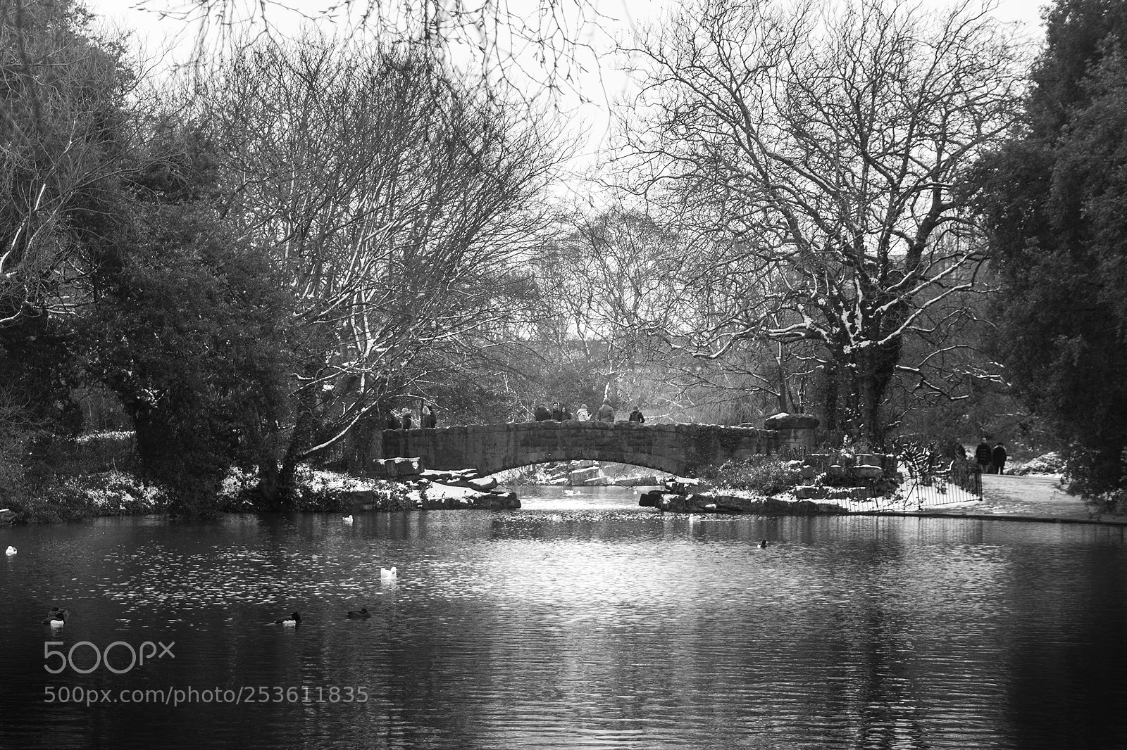 Nikon D5200 sample photo. The little bridge photography