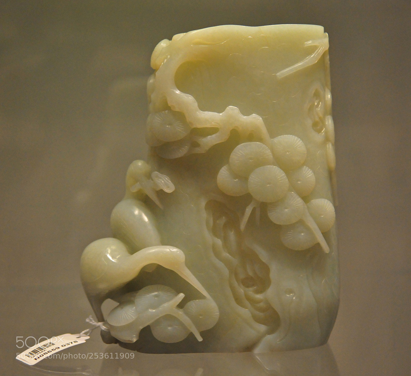 Nikon D300 sample photo. Celadon beauty photography