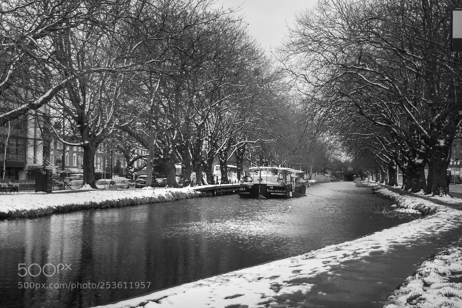 Nikon D5200 sample photo. Along the canal photography