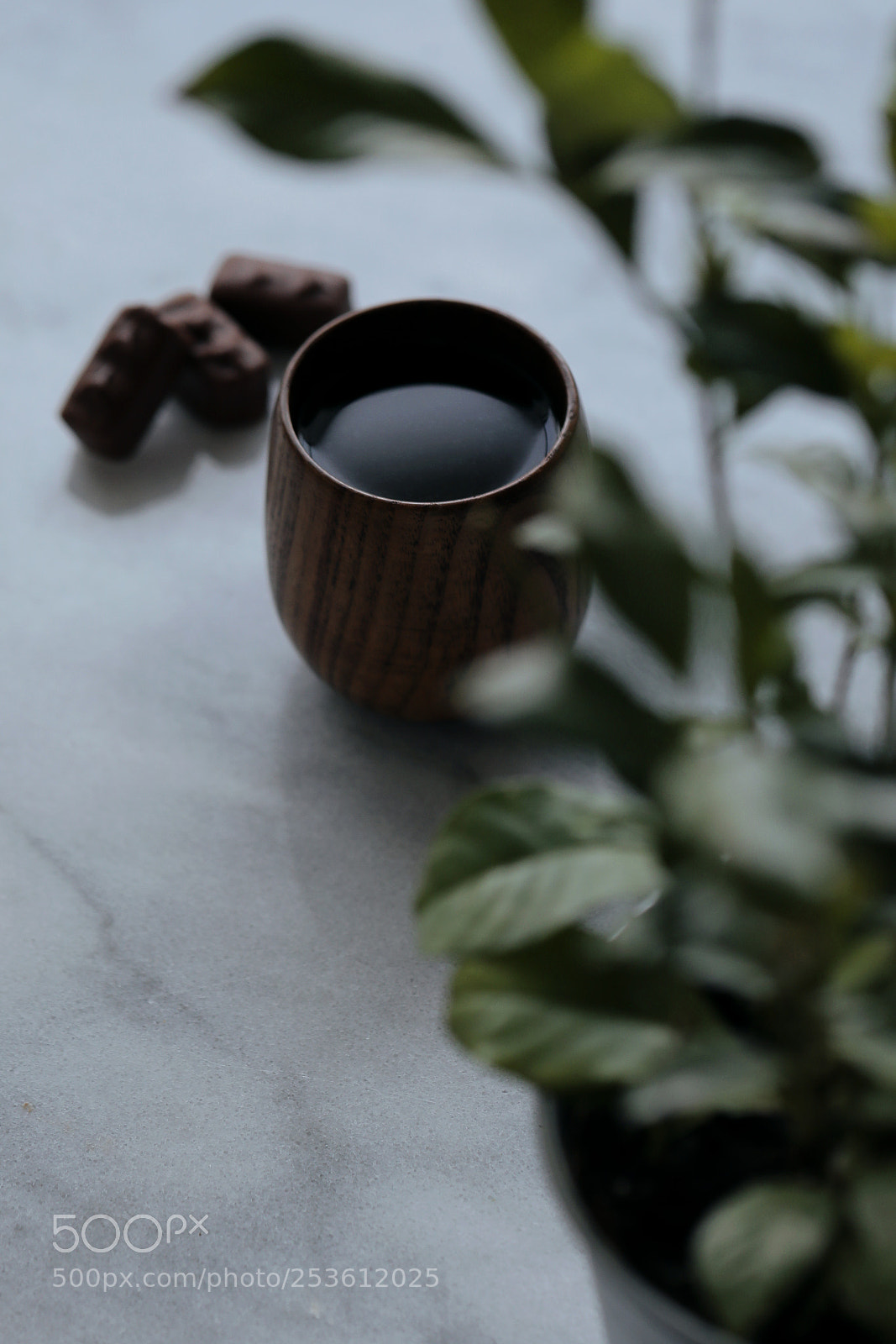 Canon EOS 5D Mark IV sample photo. Copy photography