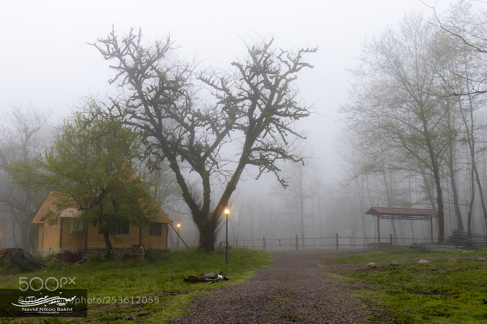 Canon EOS 80D sample photo. Fog photography