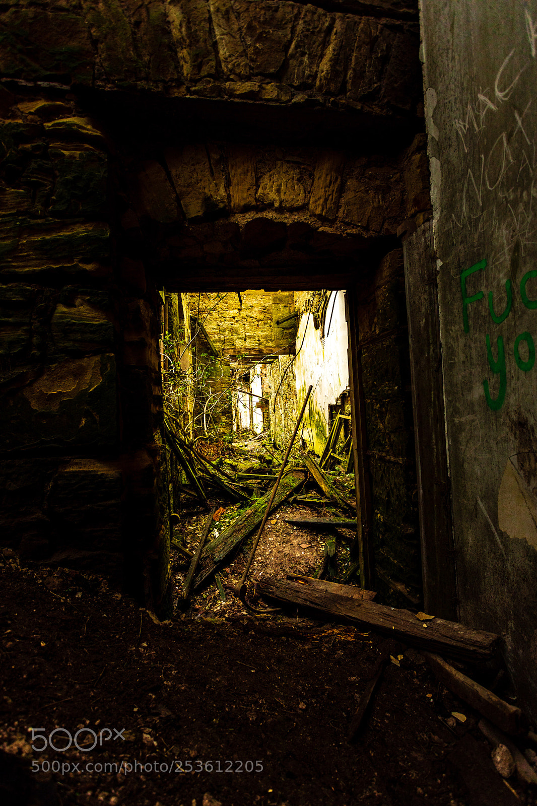 Canon EOS 5D Mark IV sample photo. Dereliction and light  photography