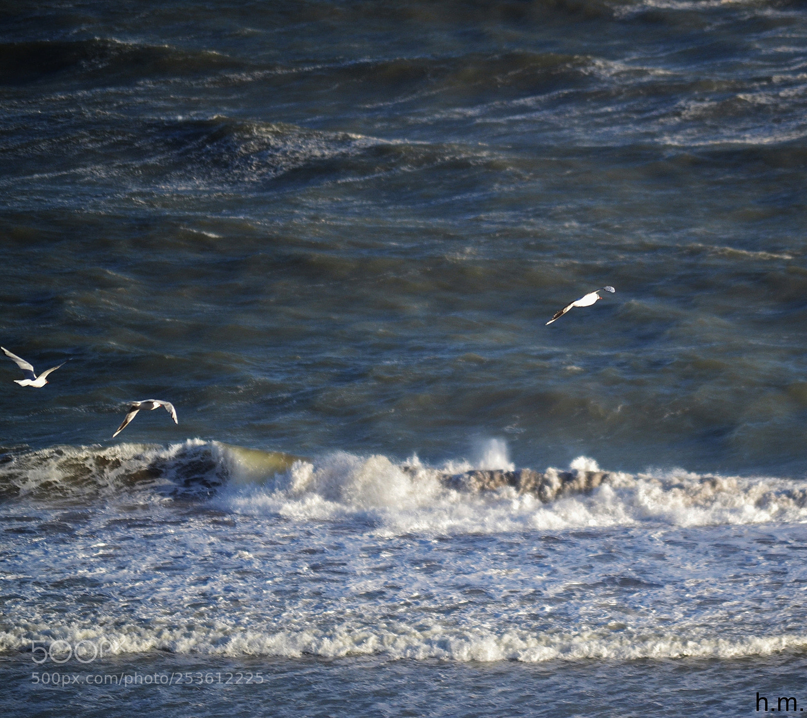 Nikon D3100 sample photo. Bcfco photography