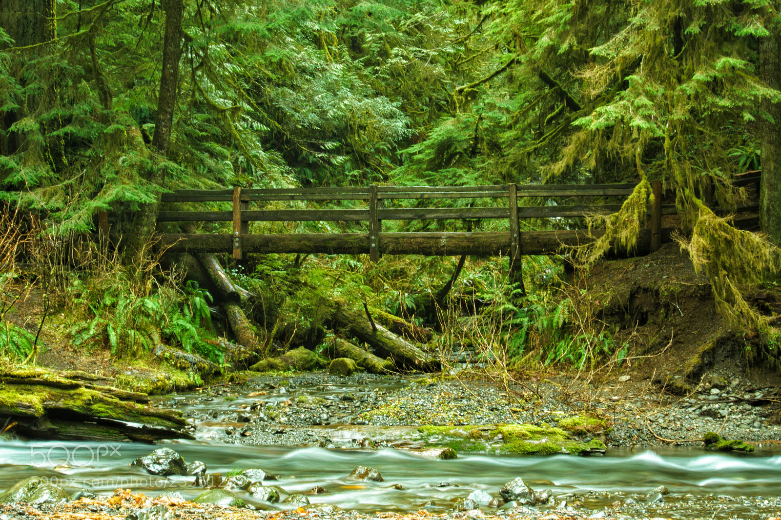 Sony a6000 sample photo. Trail to marymere falls photography