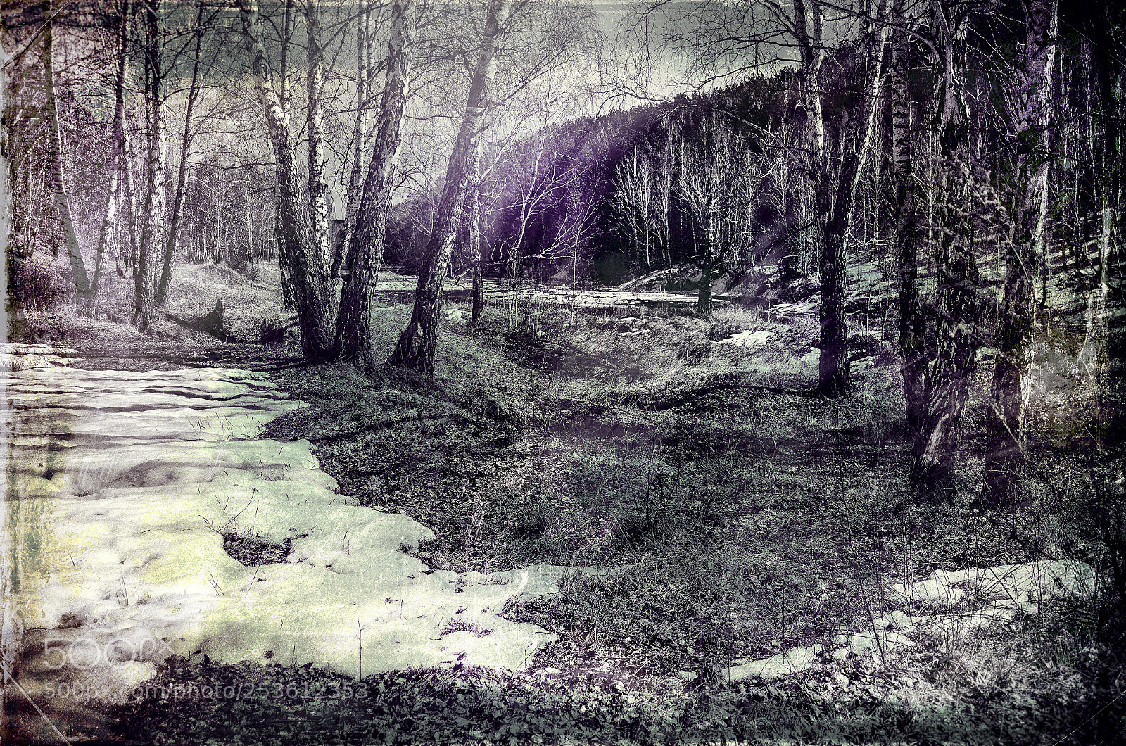 Nikon D7000 sample photo. Traces of fleeing winter photography