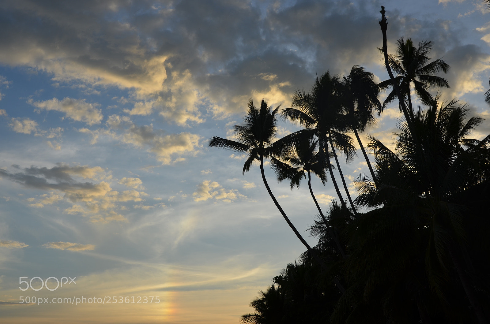 Nikon D5100 sample photo. Sunset photography