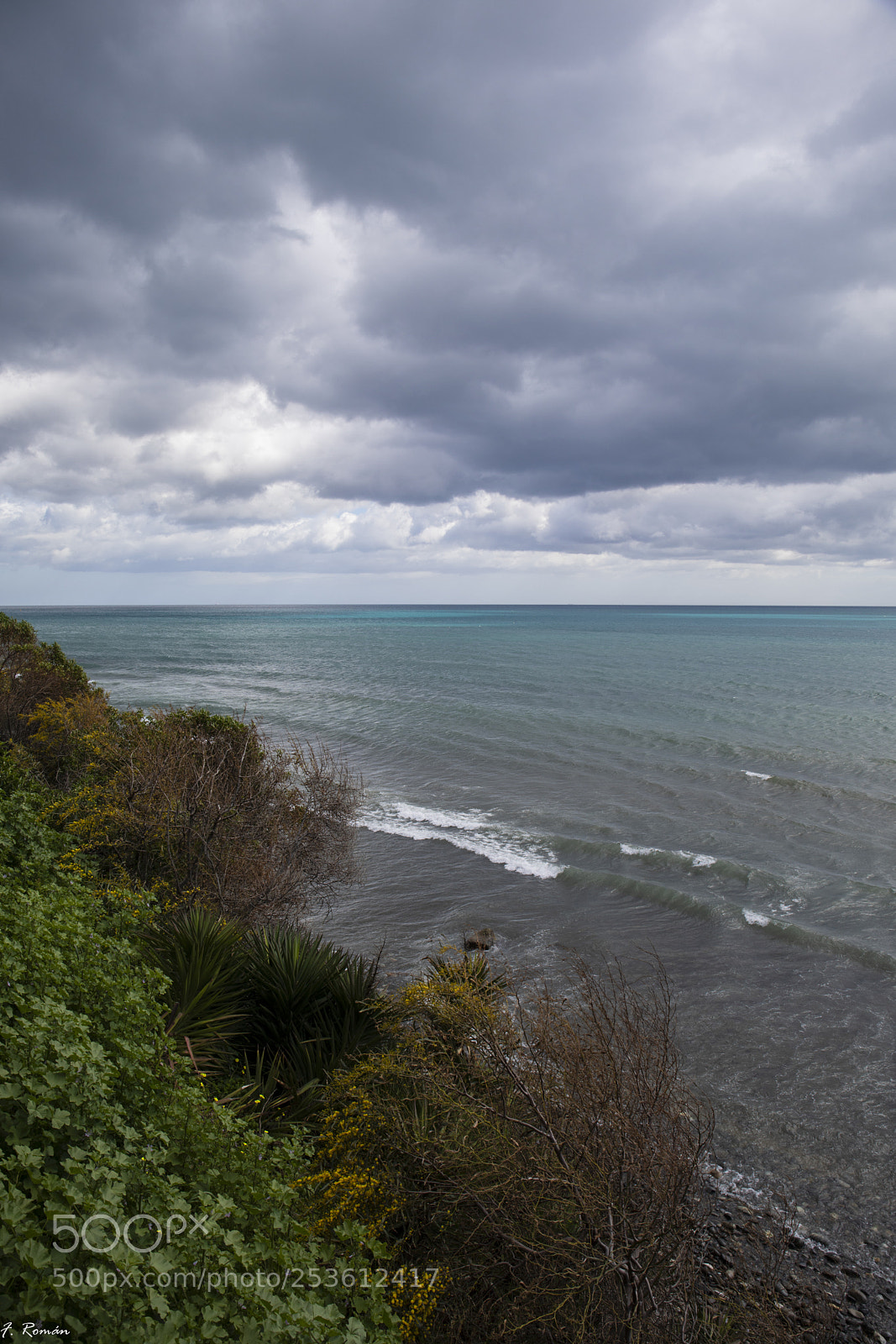 Canon EOS 5D Mark IV sample photo. Estepona marzo 2018 photography