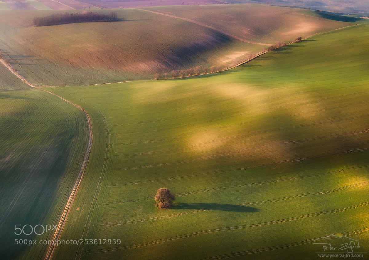 DJI FC220 sample photo. Moravian carpets photography