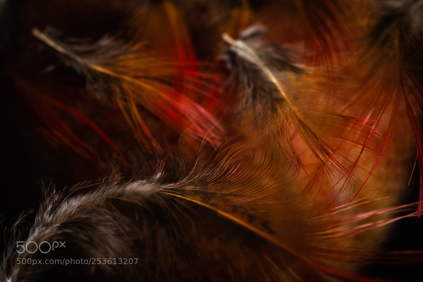 Nikon D810 sample photo. Broken photography