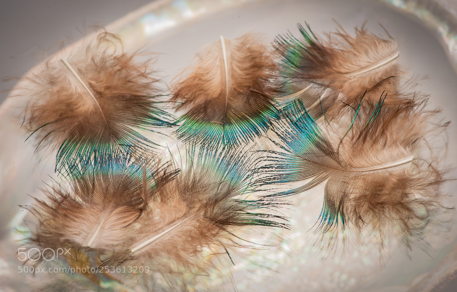 Nikon D810 sample photo. Served photography