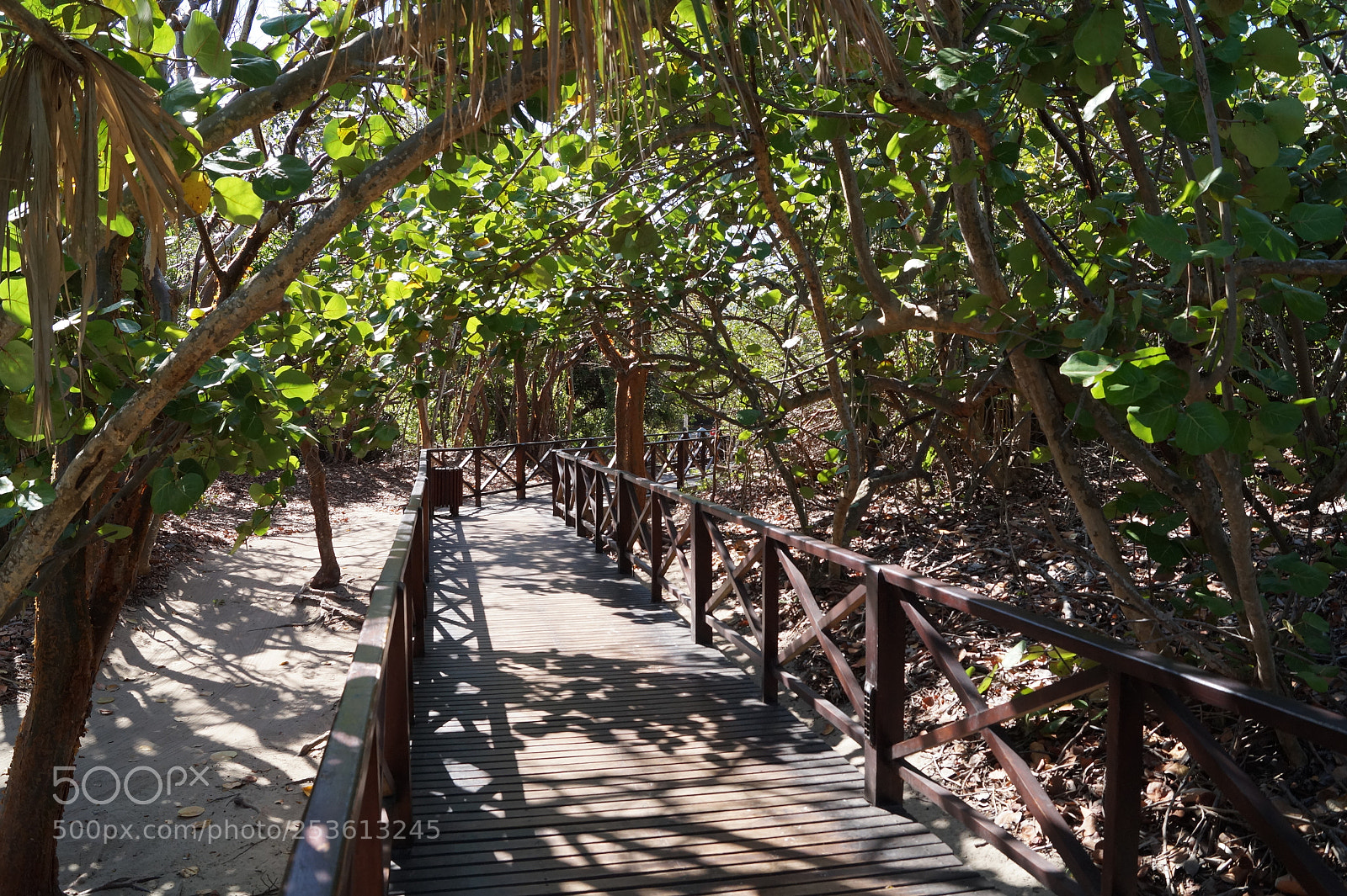 Sony SLT-A58 sample photo. Bridge to paradise photography