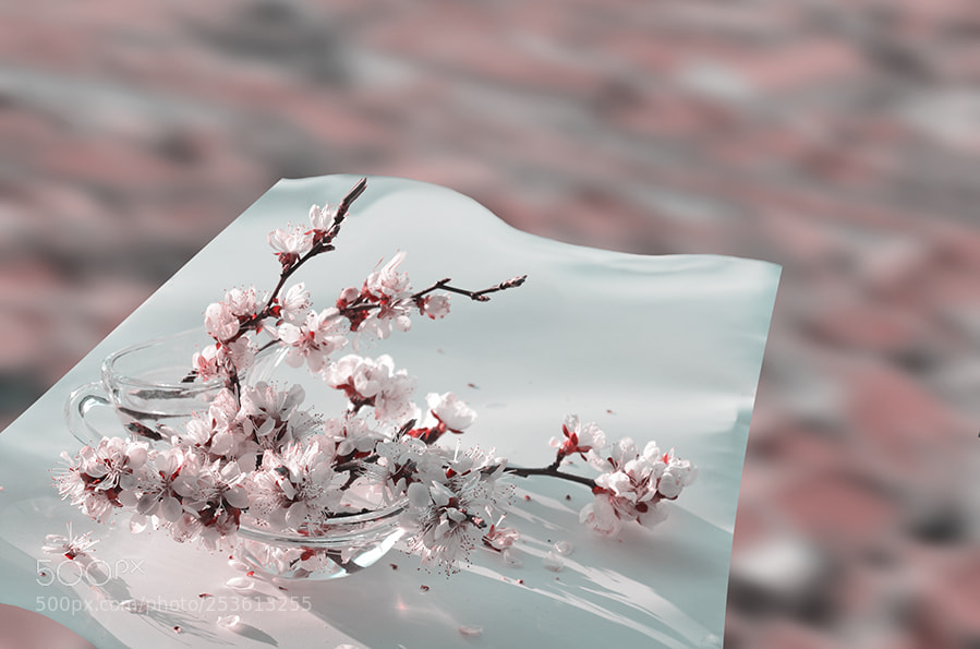 Nikon D5100 sample photo. Hail to spring photography