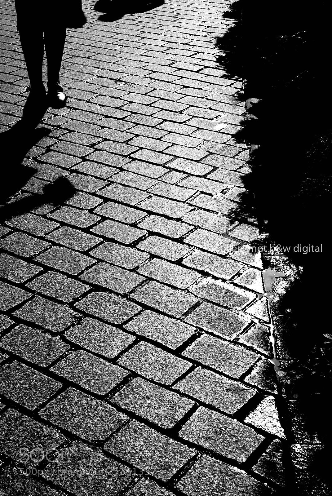 Nikon D200 sample photo. Kracobw photography