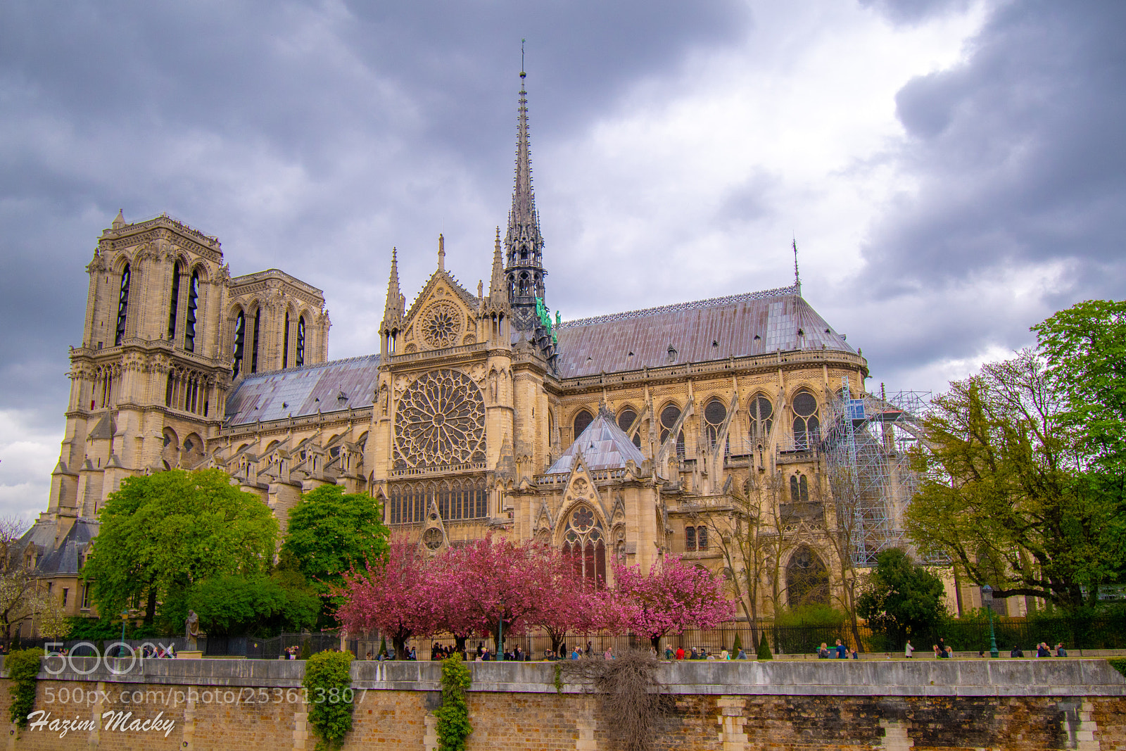 Nikon D7500 sample photo. La dame spring colors photography