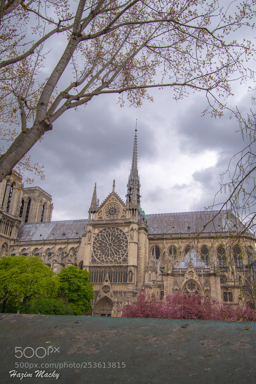 Nikon D7500 sample photo. Notre dame de paris photography