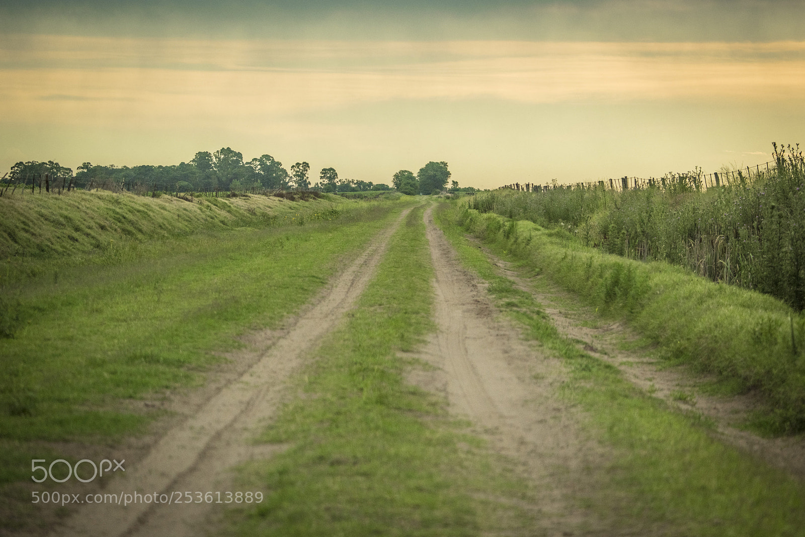 Nikon D810 sample photo. La pampa photography