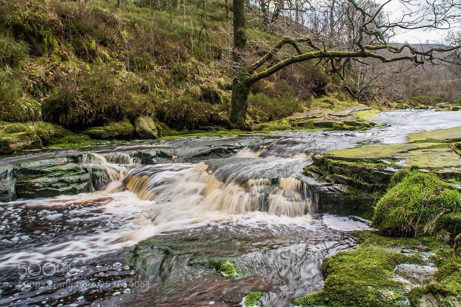 Nikon D7100 sample photo. Little black clough photography