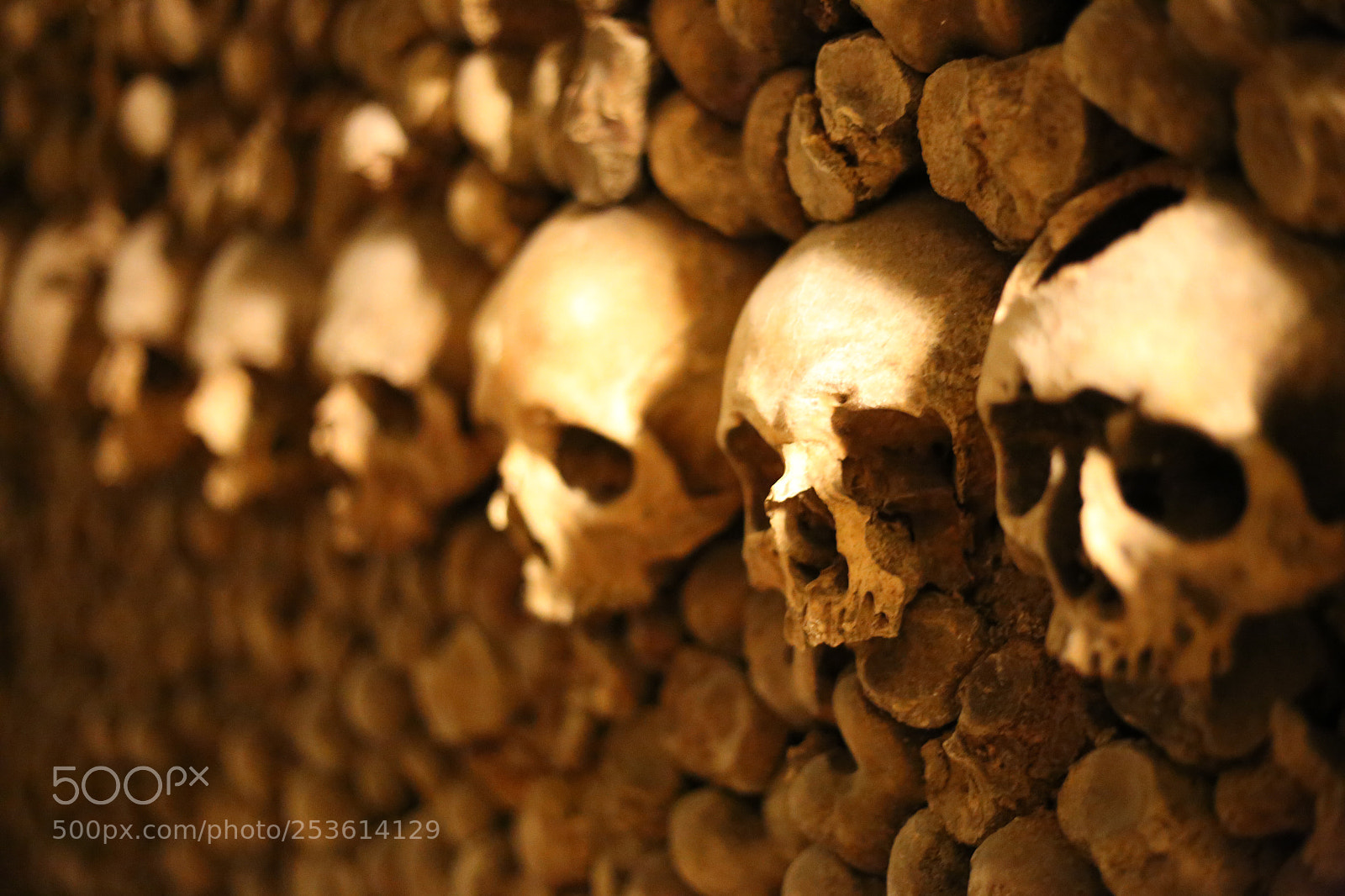 Canon EOS 6D sample photo. Skulls photography