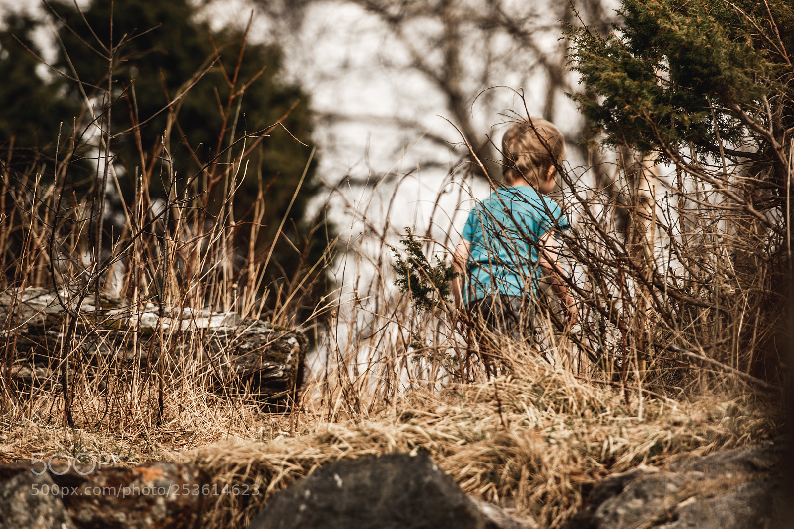 Nikon D7200 sample photo. Into the woods photography