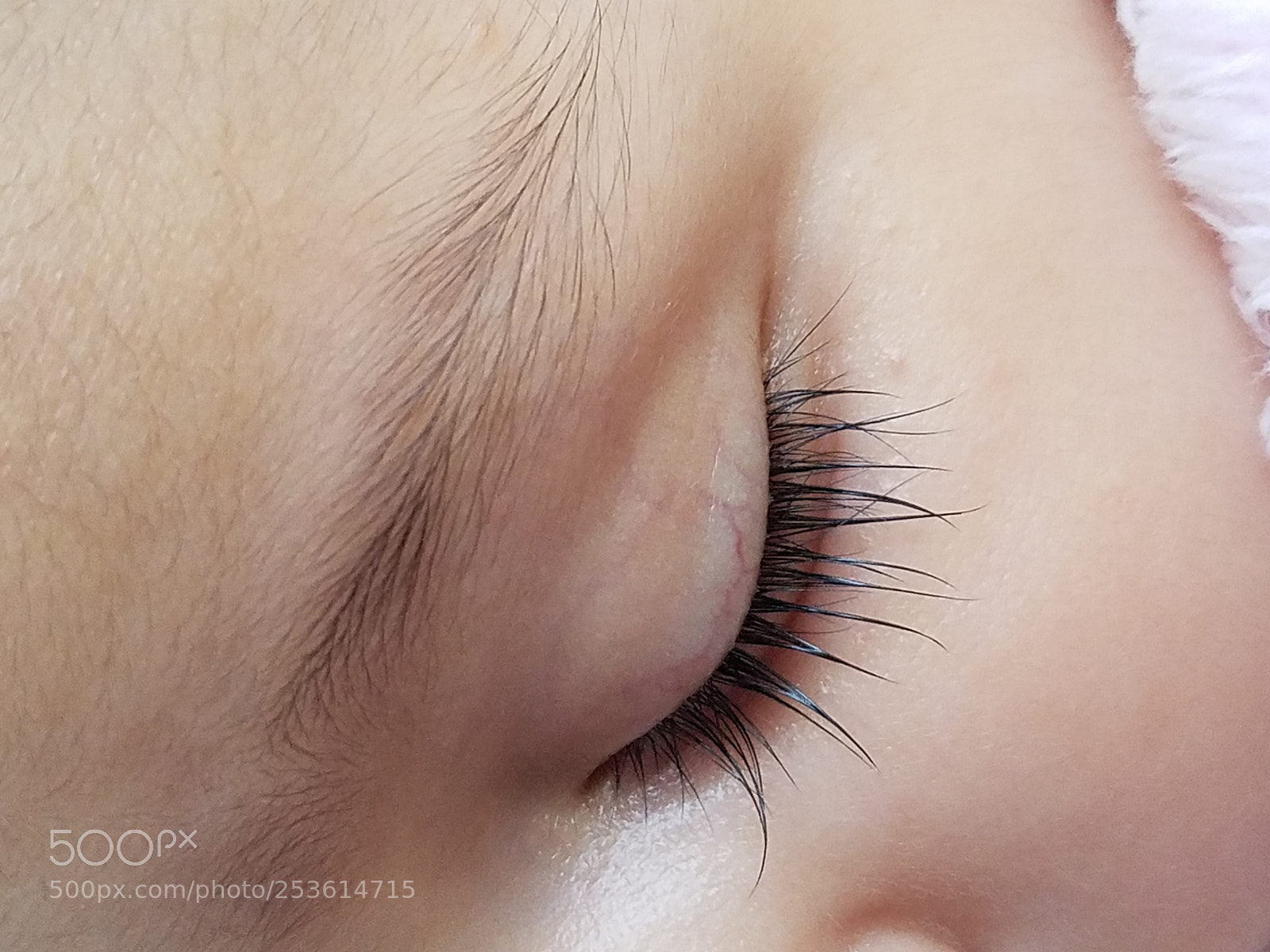 Samsung Galaxy S7 Edge sample photo. Beautiful eyelash of my photography