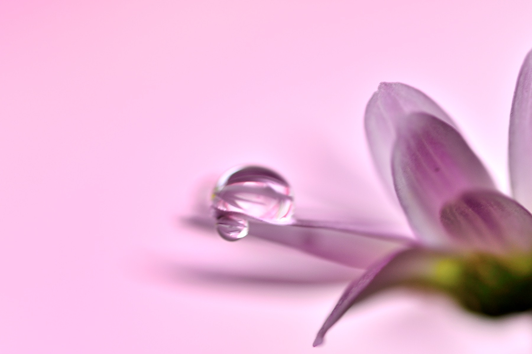 Sigma 105mm F2.8 EX DG OS HSM sample photo. Over and under photography
