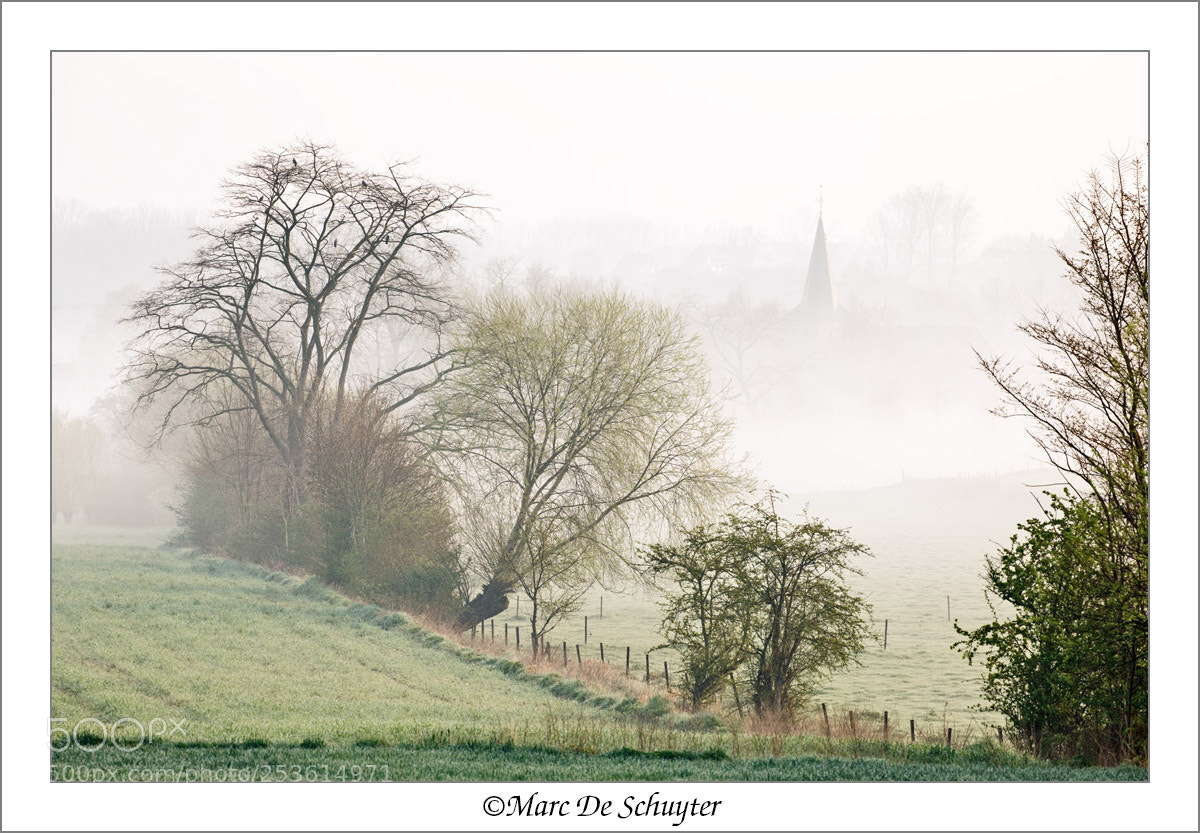 Canon EOS 5D Mark IV sample photo. Spring mist photography