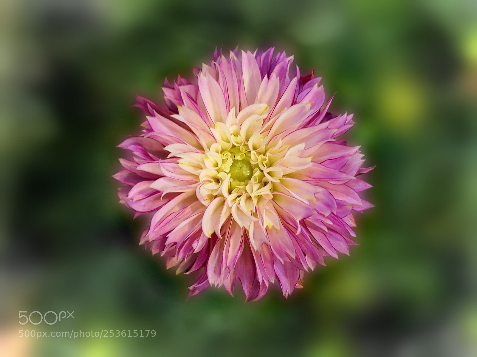 Samsung Galaxy Note4 sample photo. 286 photography