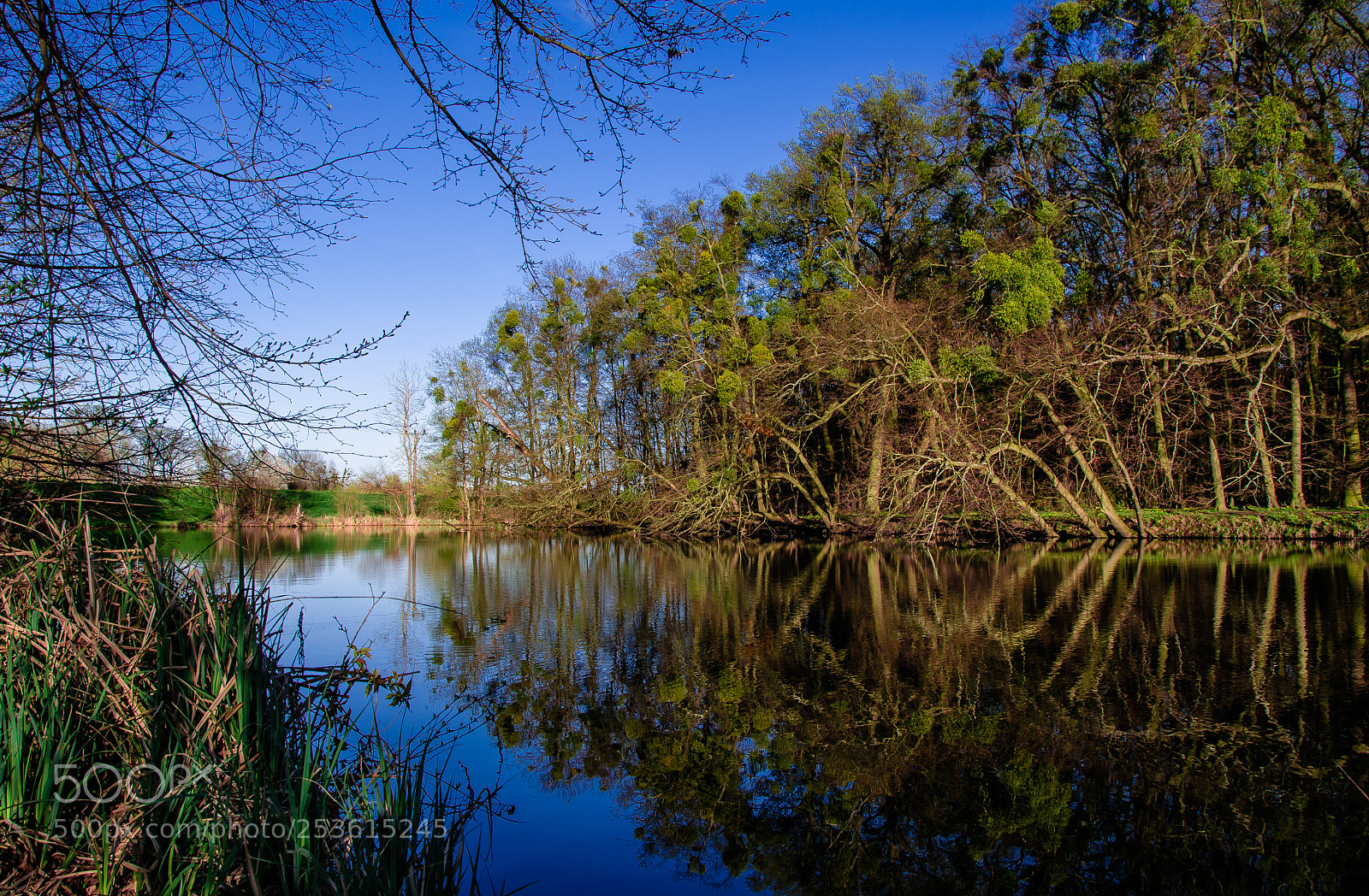 Nikon D5100 sample photo. Follow the river photography