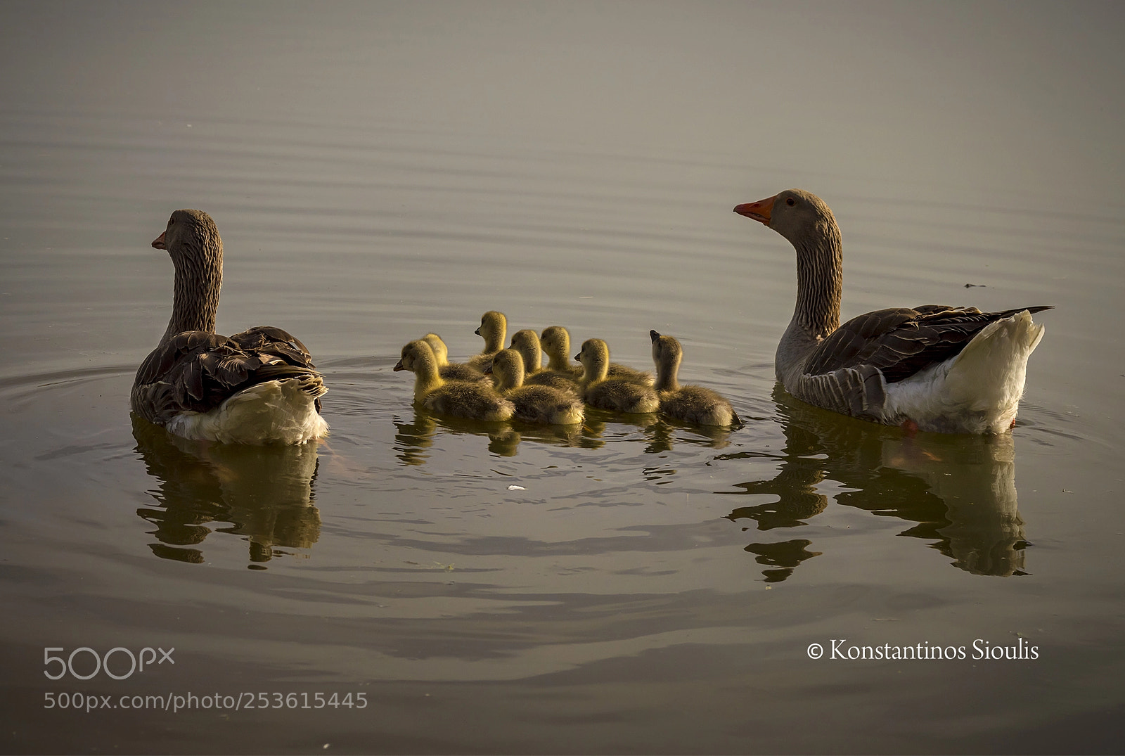 Nikon D3200 sample photo. Untitled photography