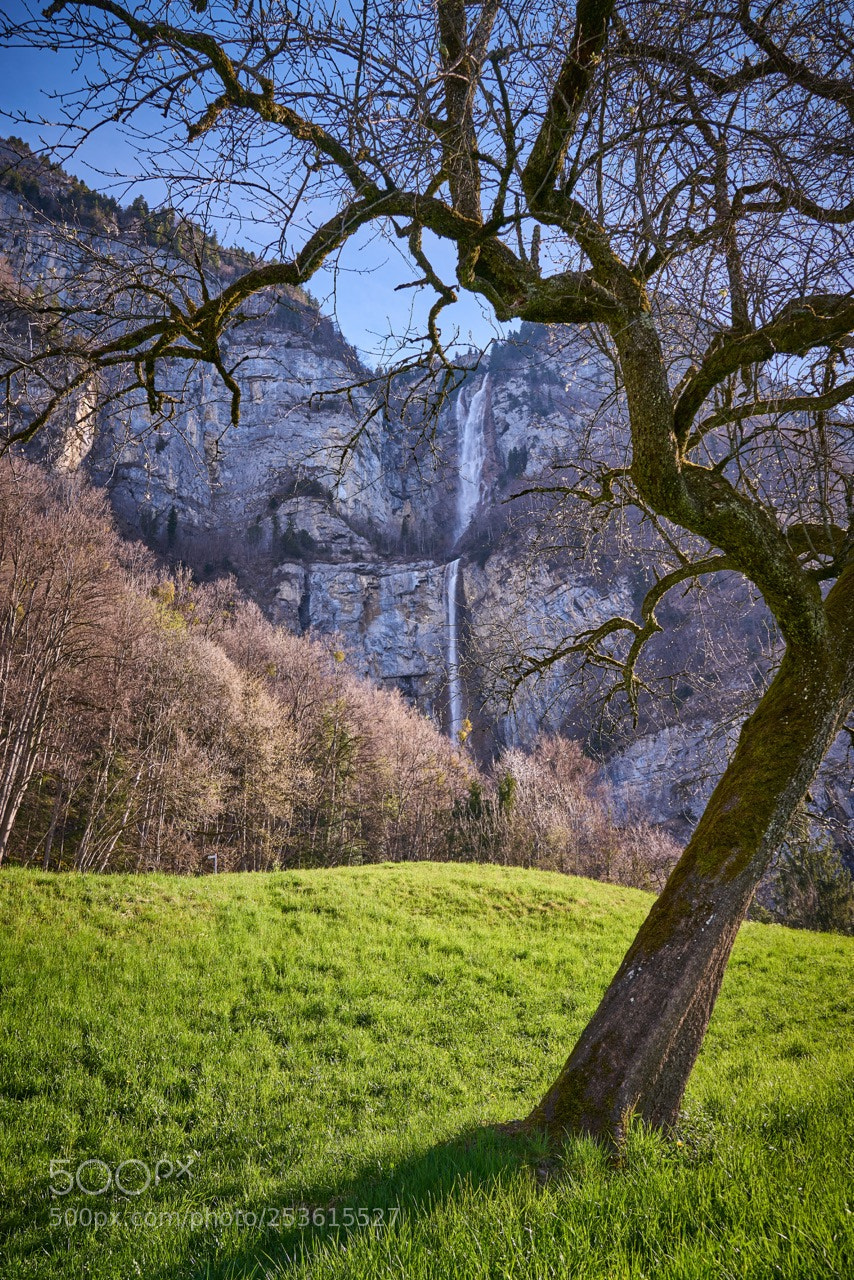 Sony a7R II sample photo. Seerenbach falls photography