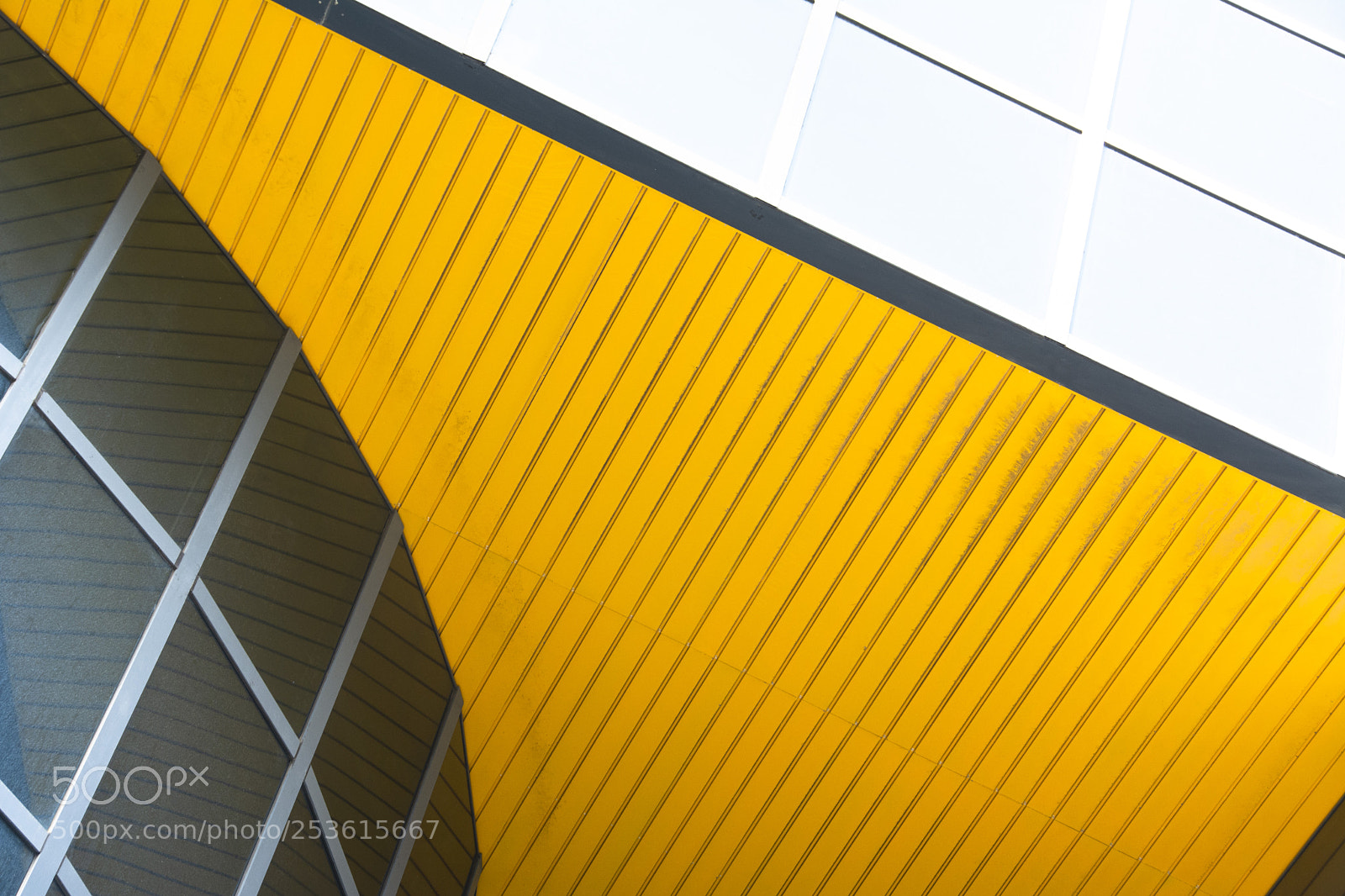 Nikon D5200 sample photo. 5.jpg photography