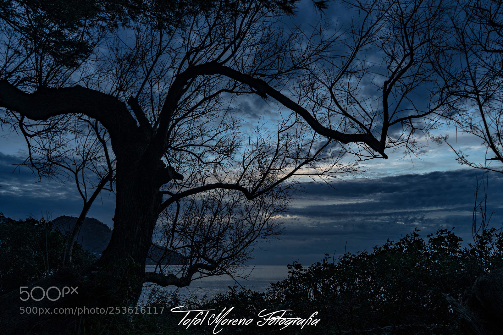 Sony a7 sample photo. Sun rise photography