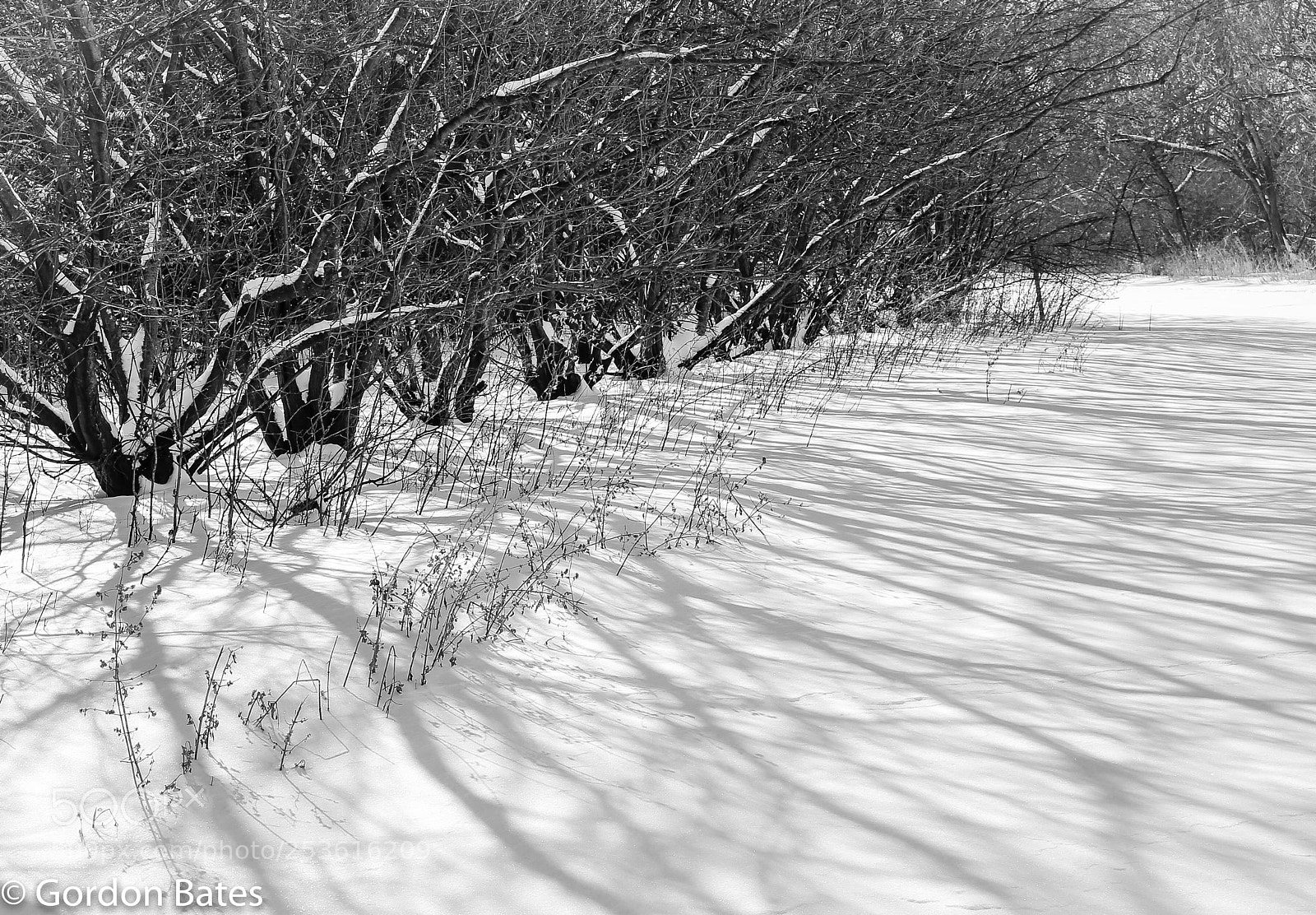 Canon EOS 6D sample photo. Long shadows on snow photography
