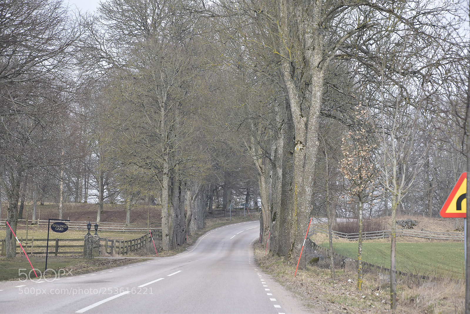 Nikon D5500 sample photo. Längs vägen photography