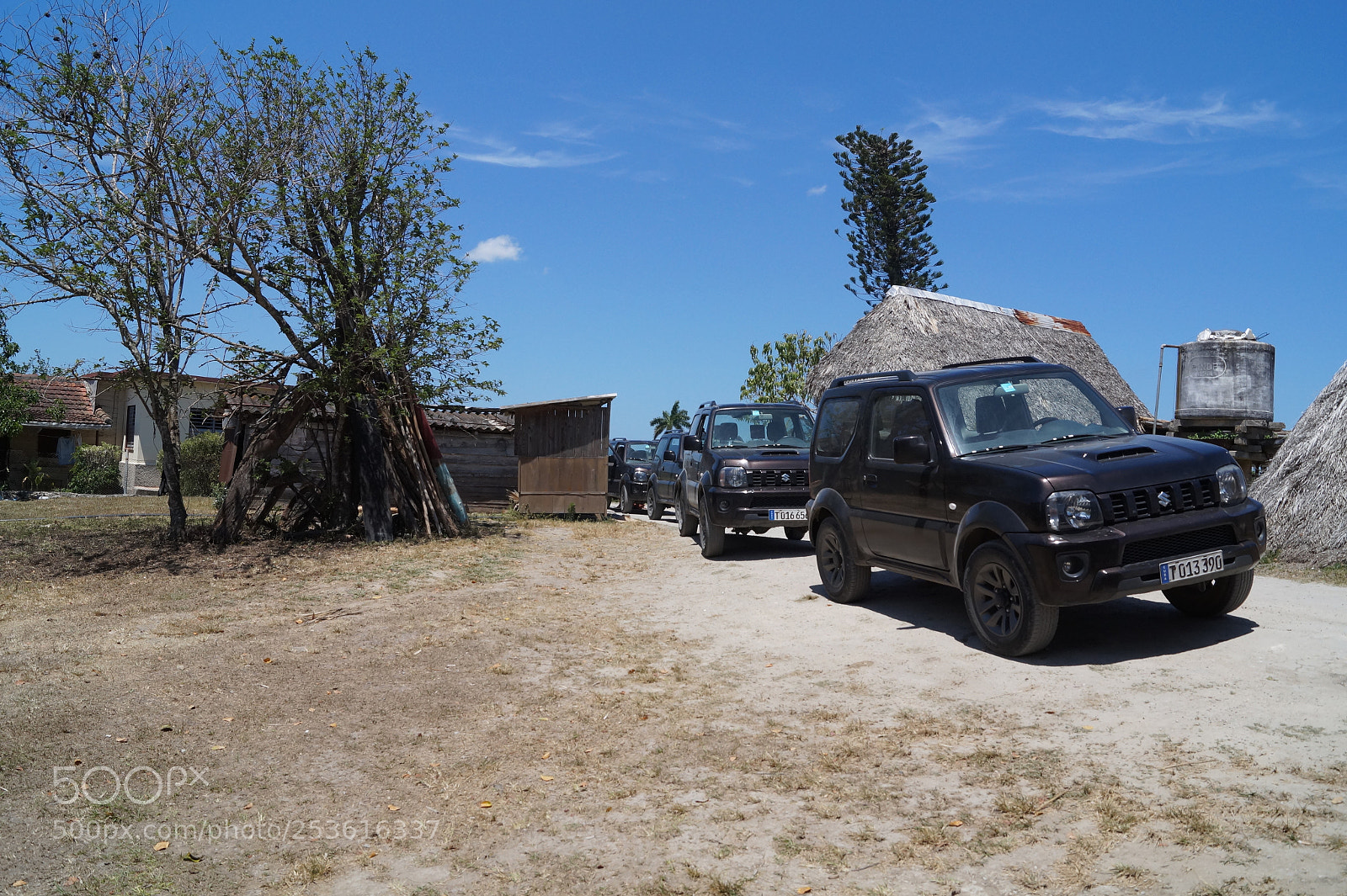 Sony SLT-A58 sample photo. In the middle of photography