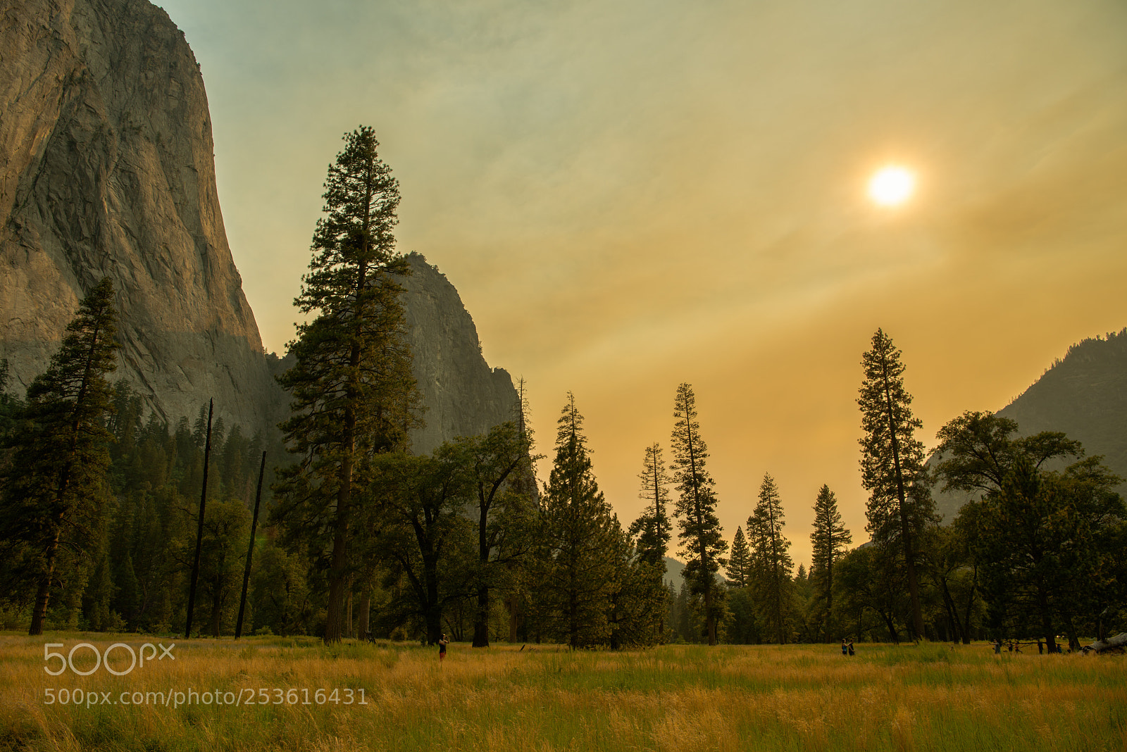 Nikon D800E sample photo. Cathedral rocks. view from photography