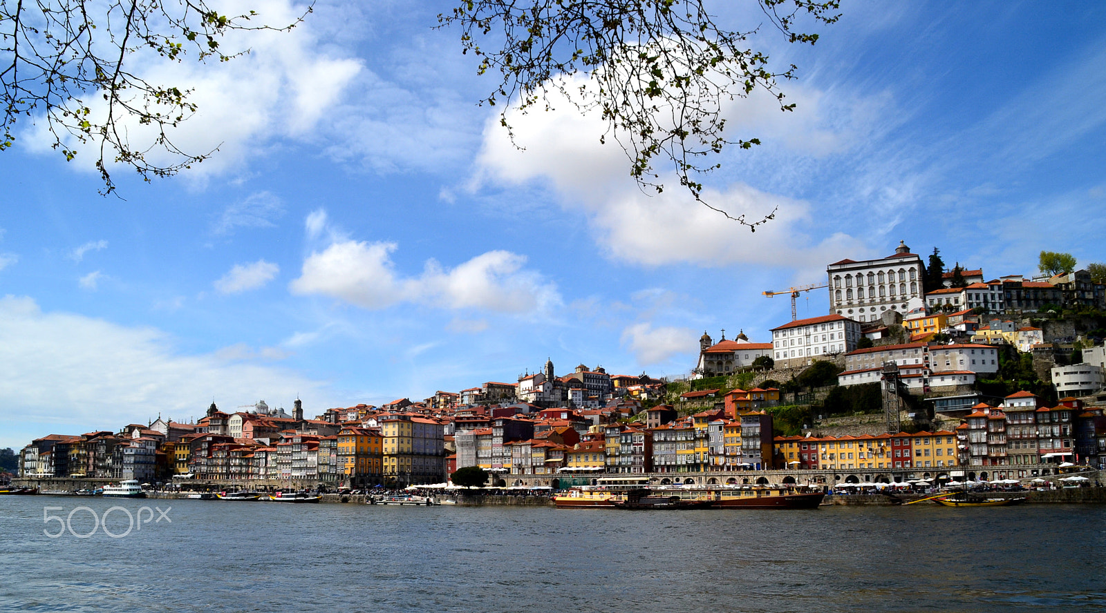 Nikon D3100 sample photo. Porto photography