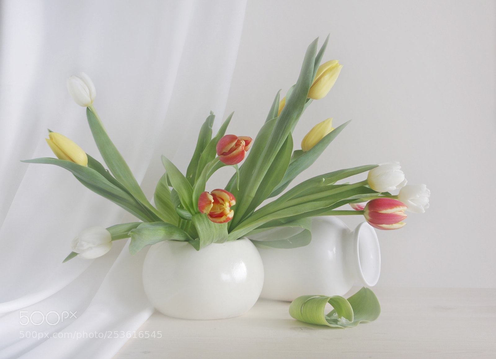 Canon EOS 40D sample photo. - photography