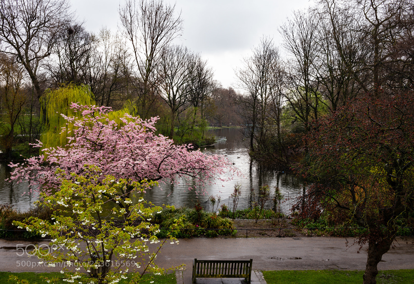 Leica M (Typ 240) sample photo. A rainy london day photography