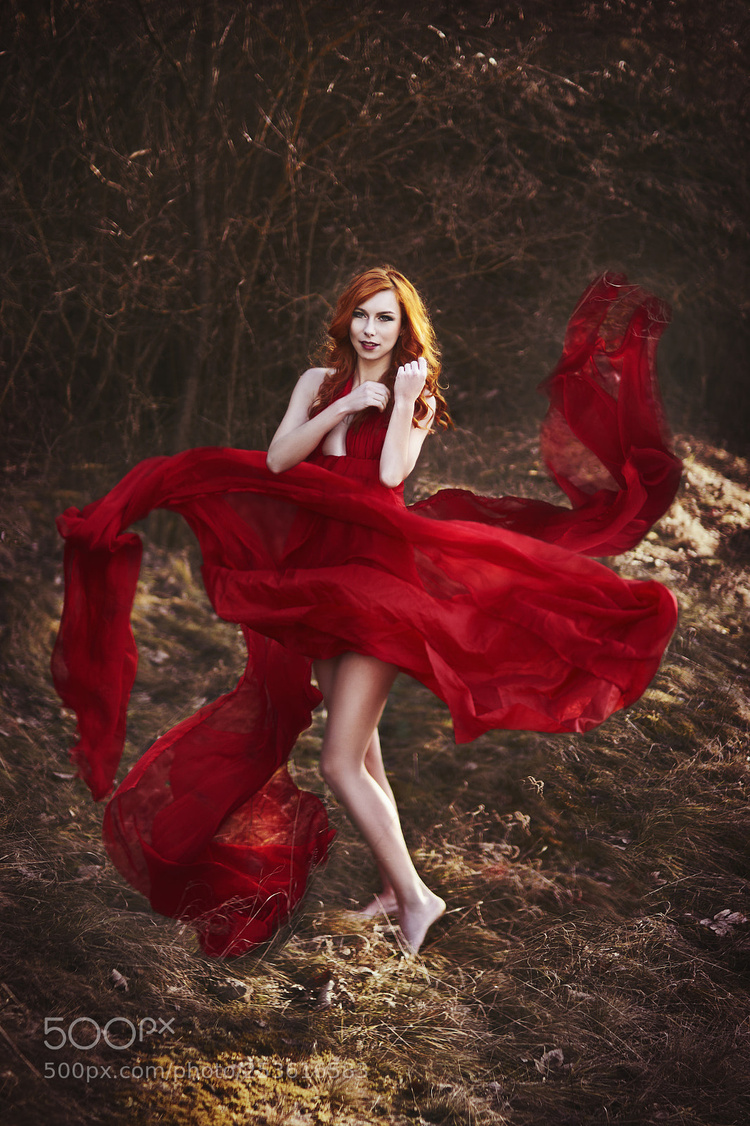 Canon EOS 7D sample photo. Kissed by fire photography