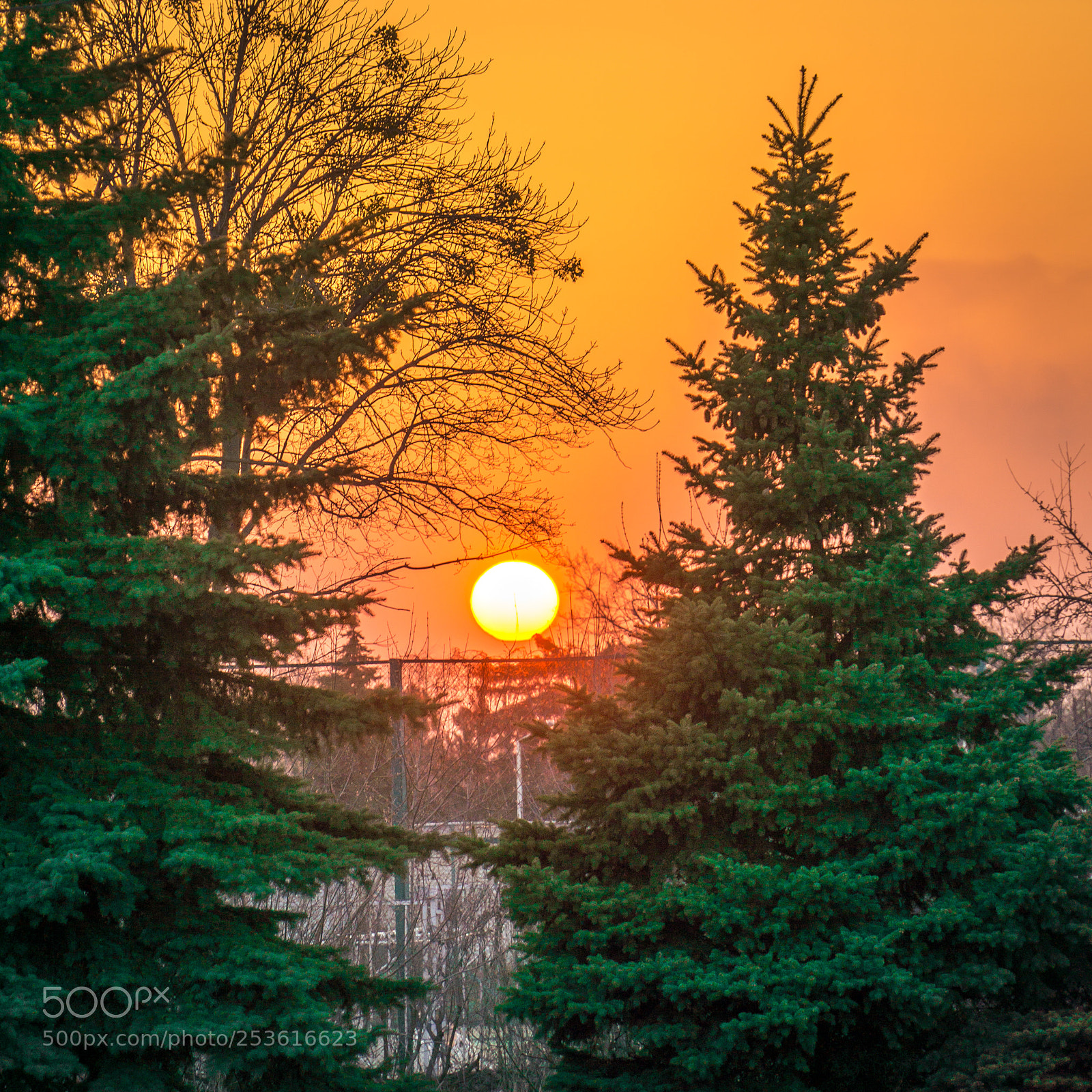 Sony a6000 sample photo. Spring sunset photography